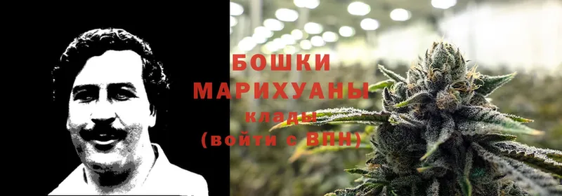 МЕГА как зайти  Кувшиново  Каннабис THC 21% 